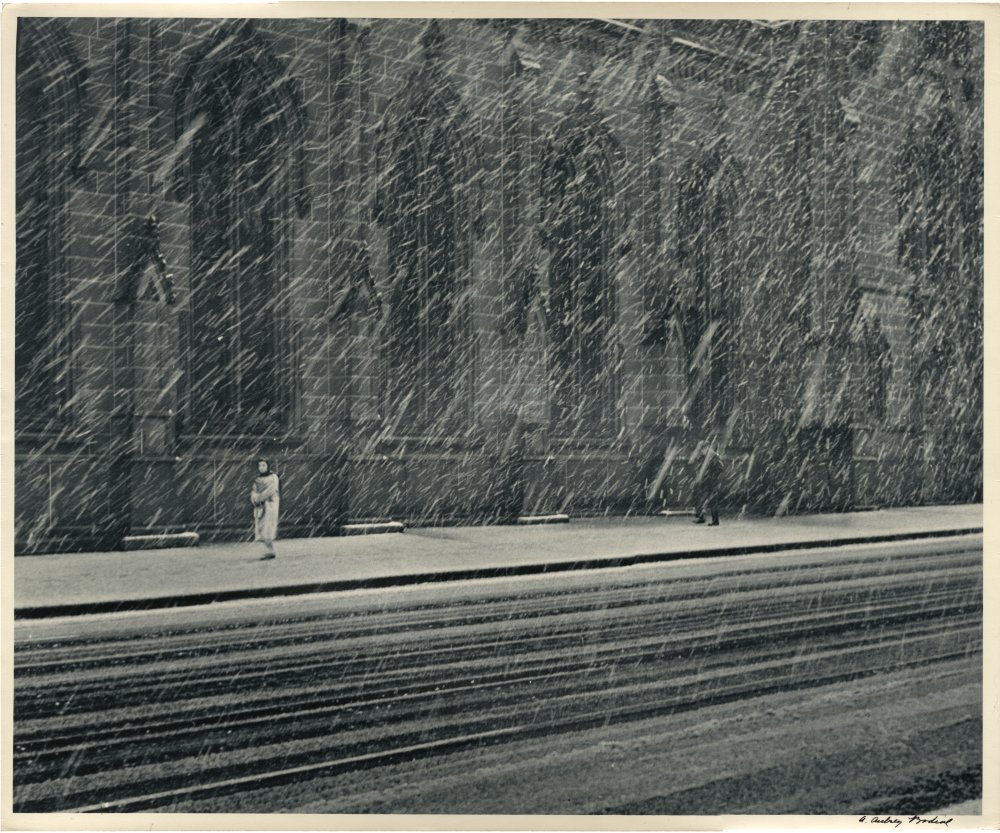 Click for larger image